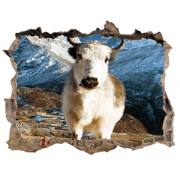 Wandtattoos Mauerdurchbruch Bergbüffel in einem Loch in der Wand