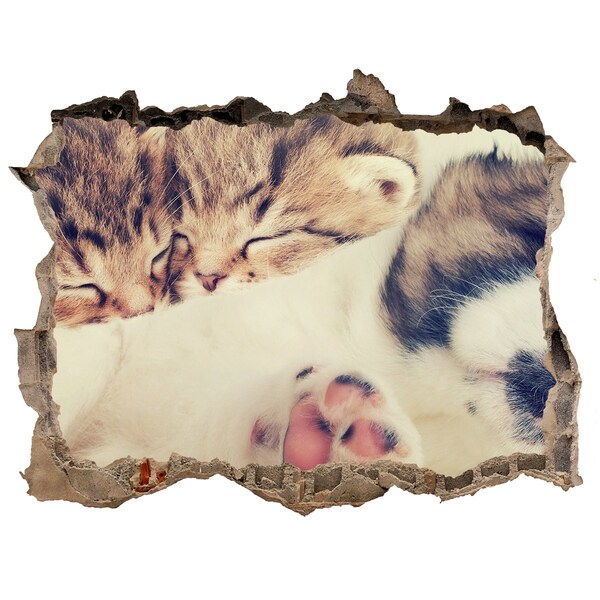 Wandtattoos Loch Niedliche Kätzchen in einem Loch in der Wand