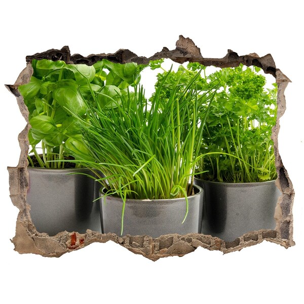 Wandfolien Loch in der Wand Grüner Garten in Töpfen