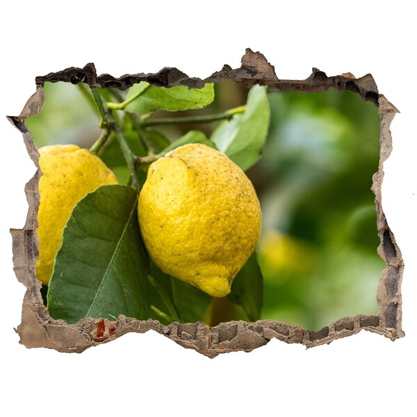 3D Wandtattoos Loch in der Wand Zitronengarten hinter der Mauer