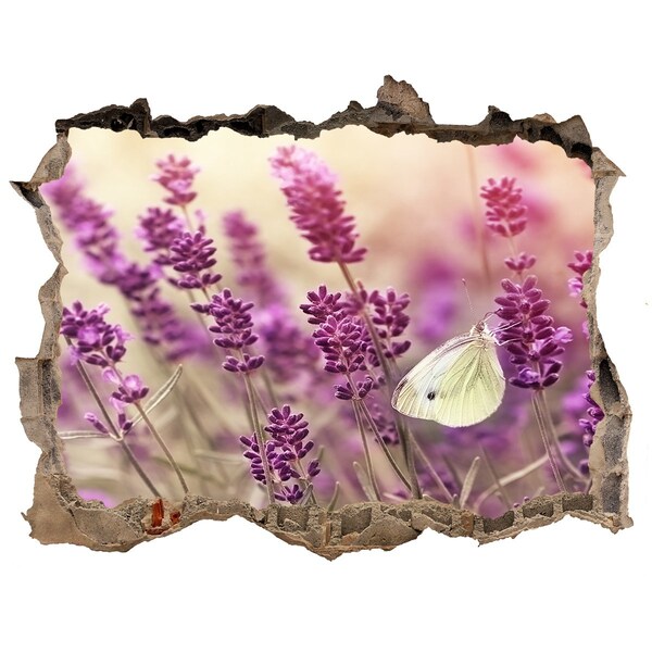 3D Wandtattoos Loch in der Wand Blumenparadies mit einem Schmetterling
