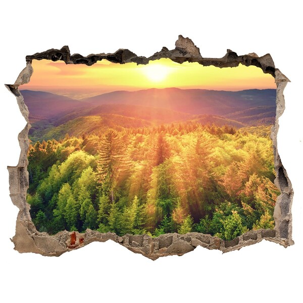 3D Wandsticker Loch Goldene Sonnenstrahlen im Wald