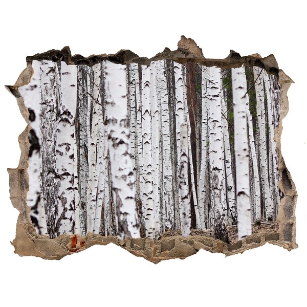 3D Wandsticker Loch Waldoase aus weißen Birken