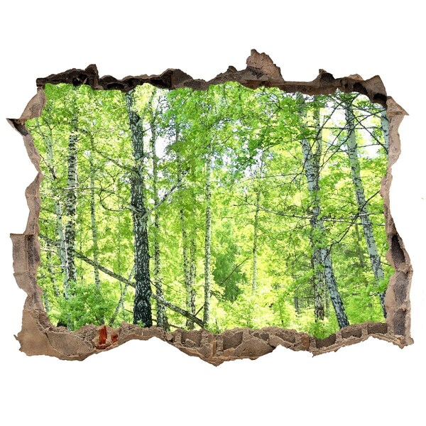 3D Wandsticker Loch Grüner Wald im Sonnenlicht