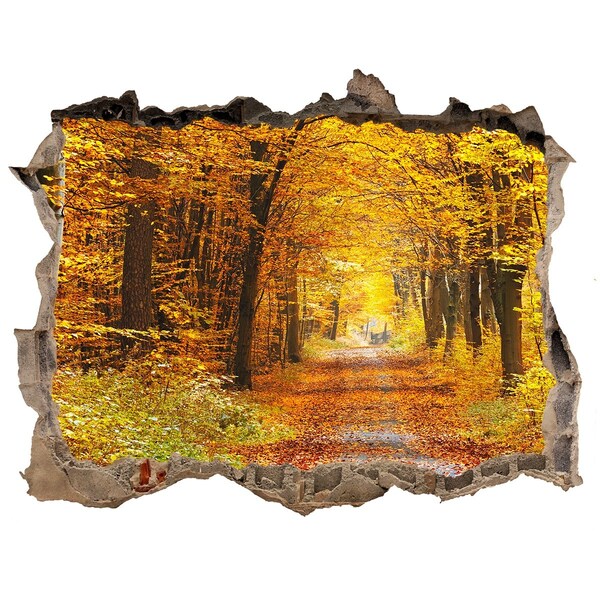 3D Wandtattoos Loch in der Wand Herbstliche Allee im Wald