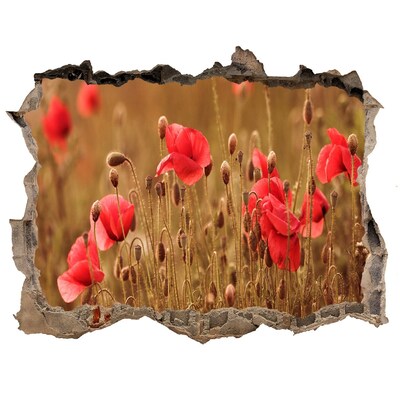 3D Wandtattoos Loch in der Wand Blumen zwischen der zerstörten Mauer