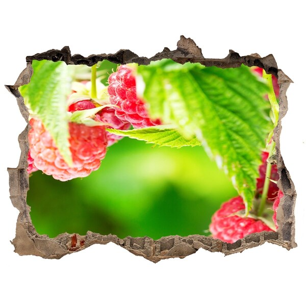 3D Wandsticker Loch Himbeeren im Garten