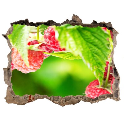 3D Wandsticker Loch Himbeeren im Garten
