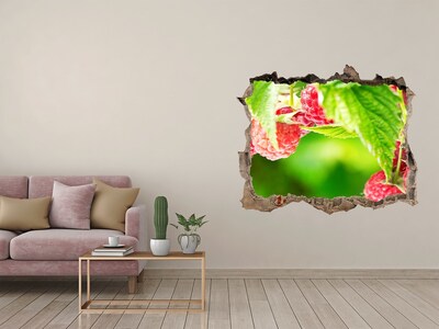 3D Wandsticker Loch Himbeeren im Garten