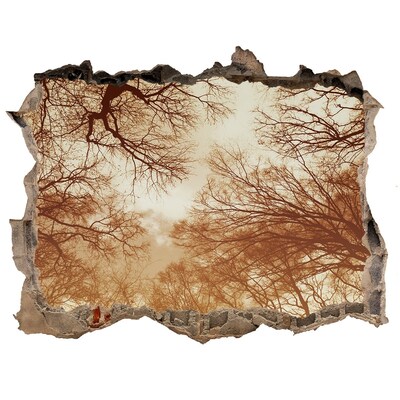 Wandtattoos Loch Spiegelung von Bäumen in einer zerstörten Mauer