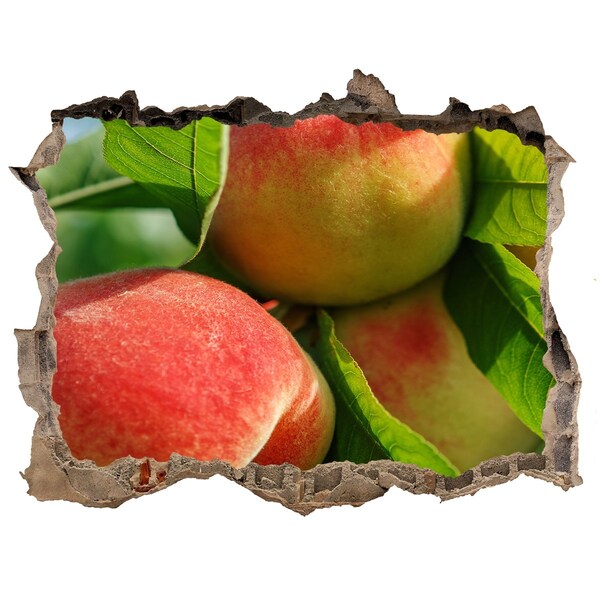 3D Wandsticker Loch Apfelplantage