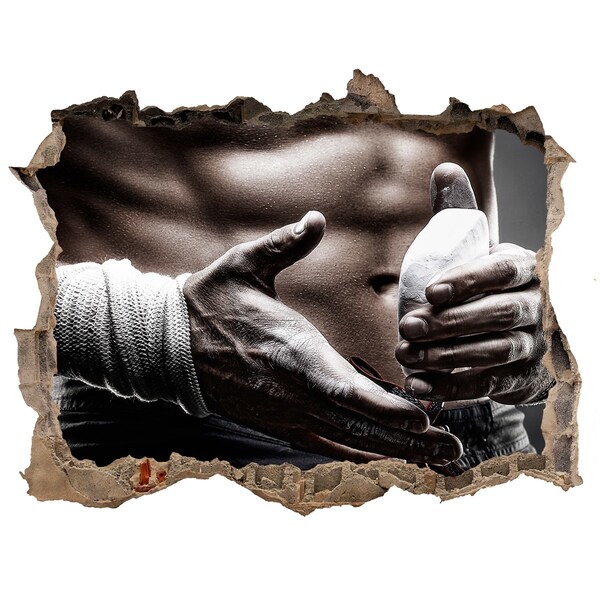 3D Wandsticker Loch Kampfsportmeister