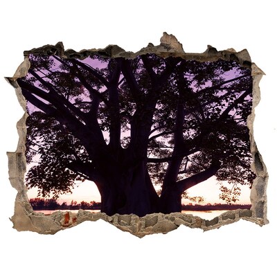 Wandtattoos Loch Sonnenuntergang hinter dem Baum