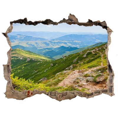 3D Wandsticker Loch Berglandschaft mit einem Weg