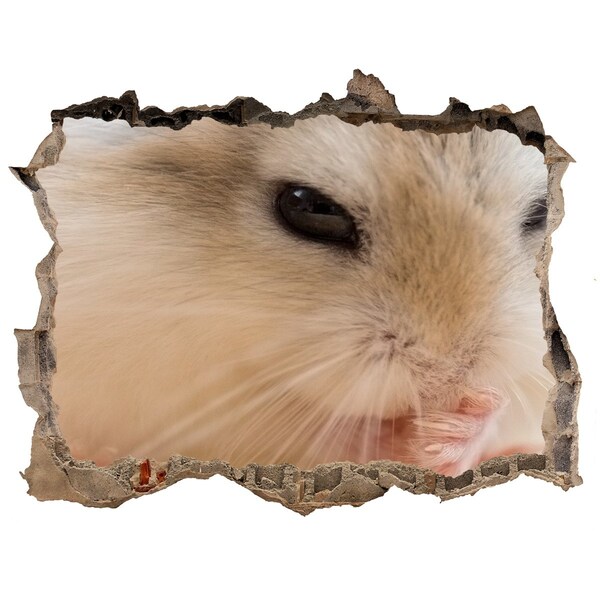 3D Wandsticker Loch Hamster in einem Loch in der Wand