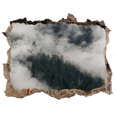 Wandtattoos Loch Grünes Tal in den Wolken