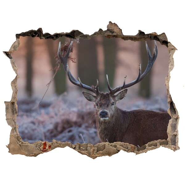 3D Wandtattoos Loch in der Wand Hirsche im Wald
