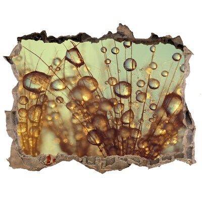 3D Wandtattoos Loch in der Wand Tropfen auf empfindlichem Haar