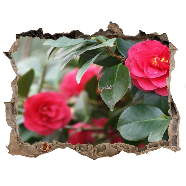 3D Wandsticker Loch Blumengarten aus Beton