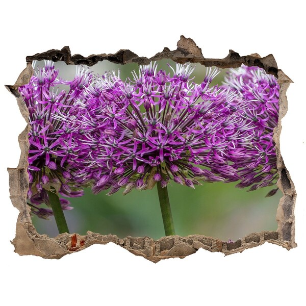 3D Wandtattoos Loch in der Wand Blüten