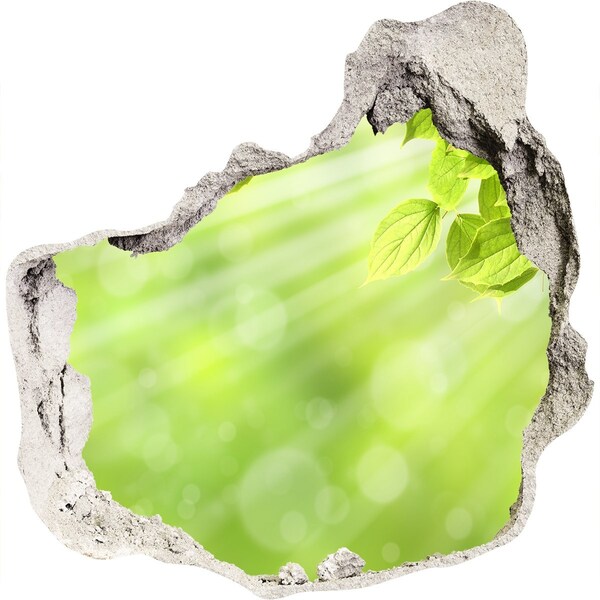 3D Wanddurchbruch Aufkleber Grünes Paradies hinter der Mauer