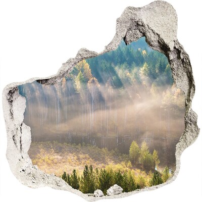Wandaufkleber Loch 3D Waldlandschaft hinter der Mauer