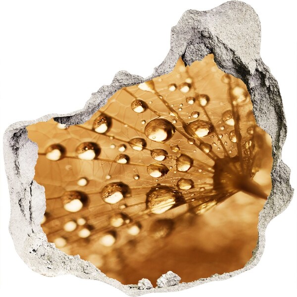 Wandaufkleber Loch 3D Tropfen auf einem Blatt