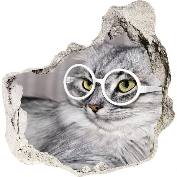 Wandaufkleber Loch 3D Katze mit Brille durch ein Loch in der Wand