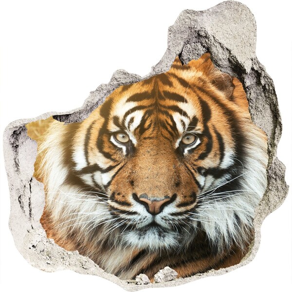 3D Wandtattoos Mauerdurchbruch Tiger in einem Loch in der Wand