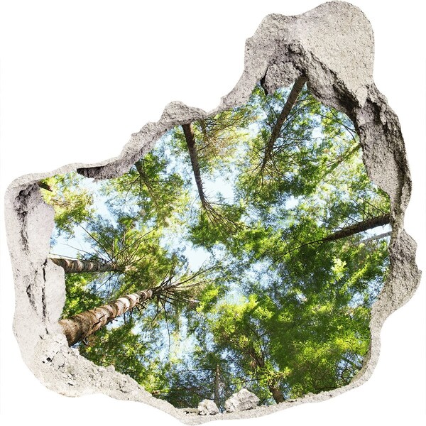 Wandfolien Loch in der Wand Blick auf den Wald bei blauem Himmel