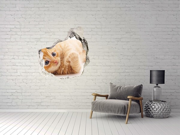 3D Wanddurchbruch Aufkleber Katze in einem Loch in der Wand