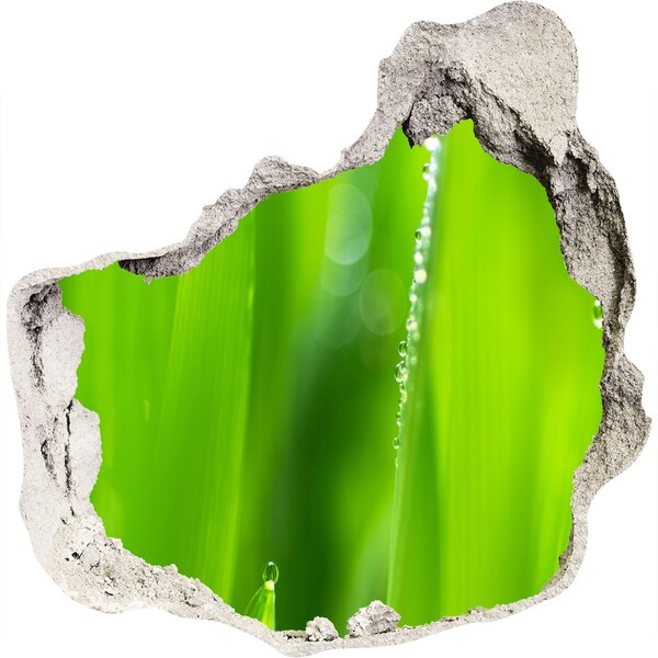 Mauerdurchbruch Aufkleber Grüne Wiese mit Wassertropfen