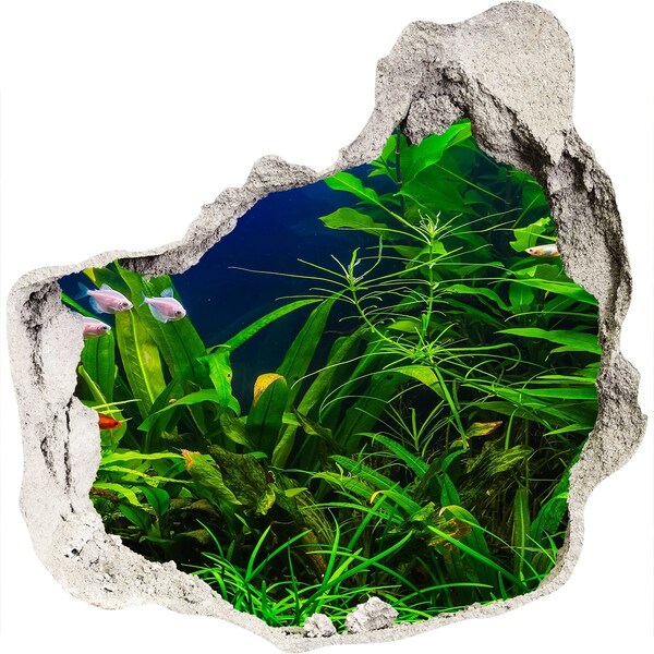 Wandaufkleber Loch 3D Die Unterwasserwelt im Aquarium