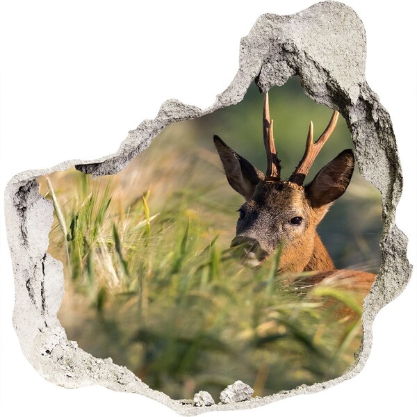 Wandaufkleber Loch 3D Rehe in einer Waldlandschaft