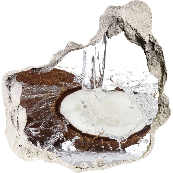 3D Wanddurchbruch Aufkleber Kokosnuss in einem Bach