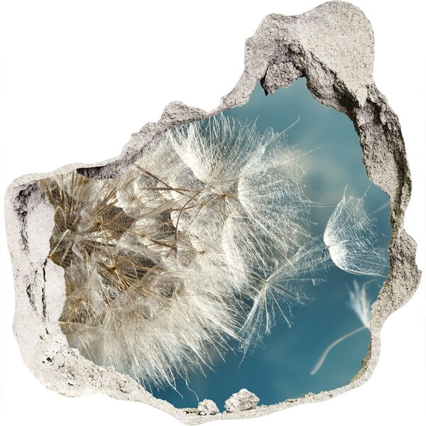 Wandaufkleber Loch 3D Löwenzahn vor dem Himmel