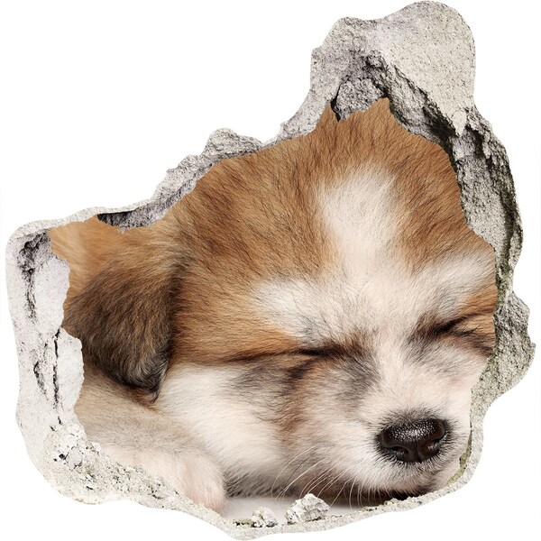 3D Wanddurchbruch Aufkleber Süßer Welpe in einem Loch in der Wand