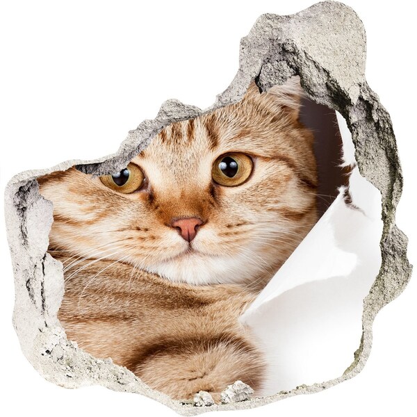 Wandaufkleber Loch 3D Katze in einem Loch in der Wand