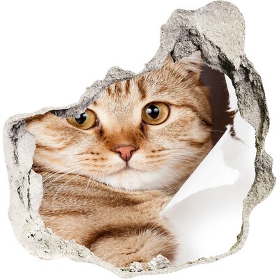 Wandaufkleber Loch 3D Katze in einem Loch in der Wand