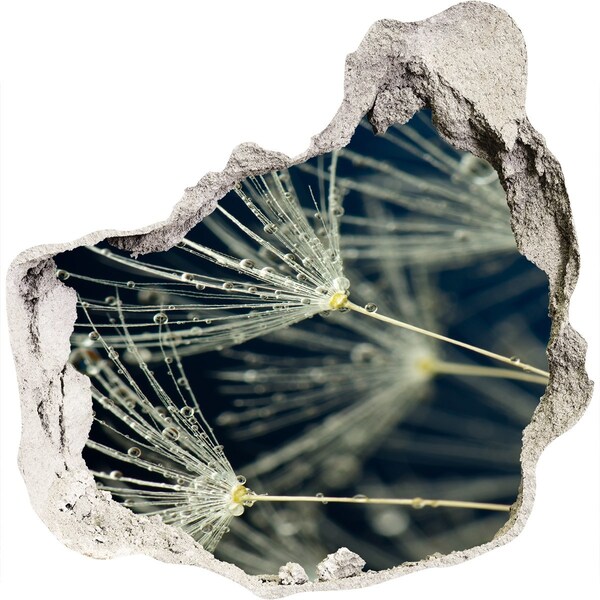 Wandtattoos Loch in der Wand Löwenzahnblüten im Wasser