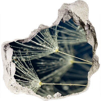 Wandtattoos Loch in der Wand Löwenzahnblüten im Wasser