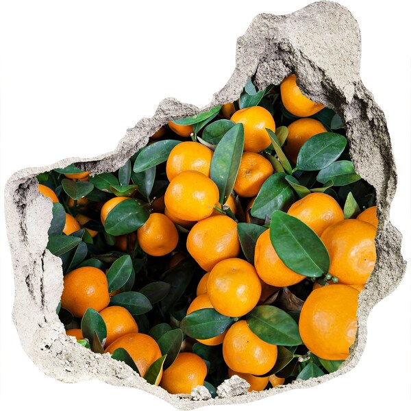 Wandfolien Loch in der Wand Früchte im Orangengarten