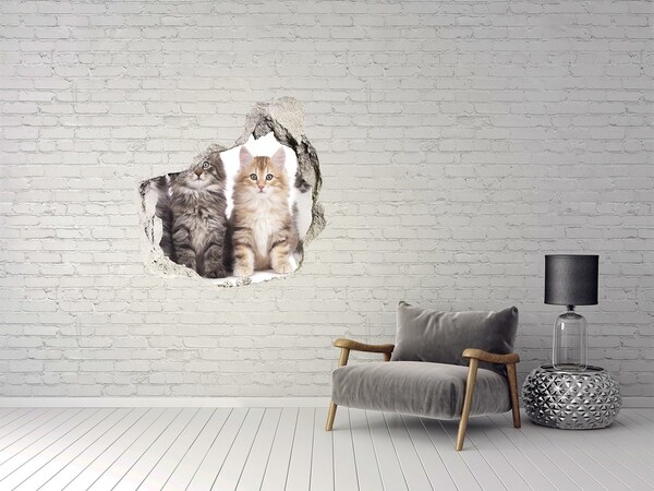 Wandfolien Loch in der Wand Katzen in einem Loch in der Wand