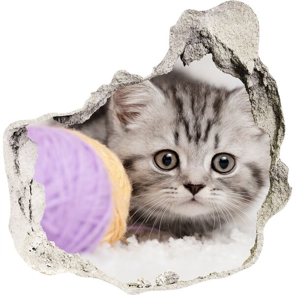 3D Wanddurchbruch Aufkleber Das Kätzchen hinter der Mauer