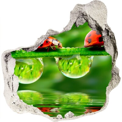 Wandtattoos Loch in der Wand Ein Tropfen Natur mit einem Marienkäfer