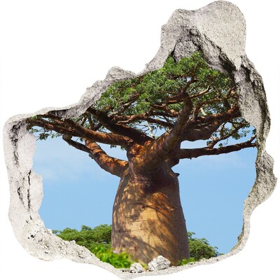 3D Wanddurchbruch Aufkleber Baobab in einem Loch in der Wand