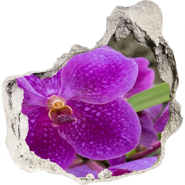 3D Wanddurchbruch Aufkleber Orchideenblüte in einem Loch in der Wand