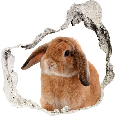 3D Wanddurchbruch Aufkleber Hase in einem Loch in der Wand