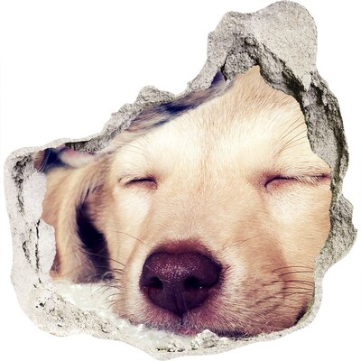 3D Wanddurchbruch Aufkleber Süßer Hund in einem Loch in der Wand