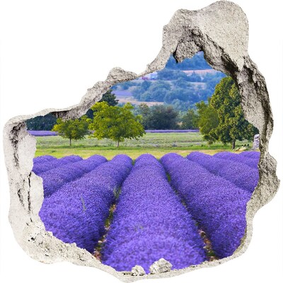 Wandaufkleber Loch 3D Lavendelfelder in der Provence